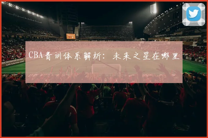 CBA青训体系解析：未来之星在哪里